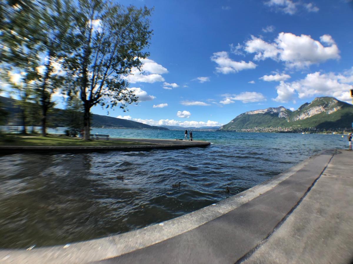 Entre Lac Et Montagne, Proche Centre De St Jorioz, Spacieux Et Confortable Appartement Avec Grande Terrasse Saint-Jorioz Kültér fotó